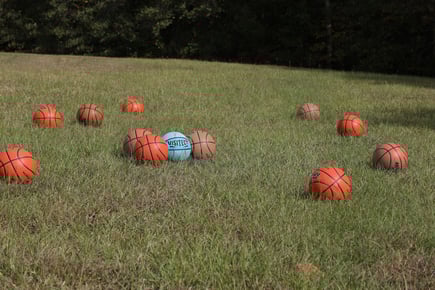 VISIBALL_field-1000x667_300